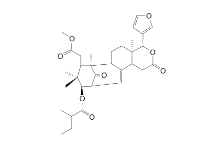 CIPADESIN;METHYL-3-BETA-(2-METHYL-BUTYRYLOXY)-1-OXOMELIAC-8(30)-ENATE