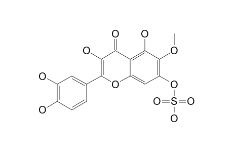 PATULETIN-7-SULPHATE