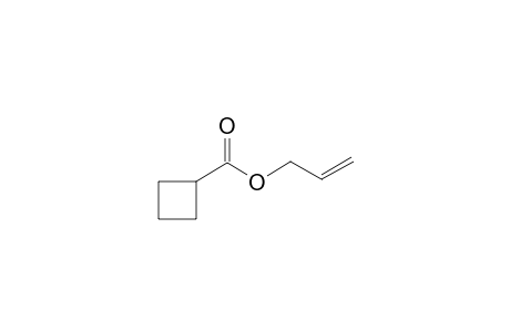 Allyl cyclobutanecarboxylate