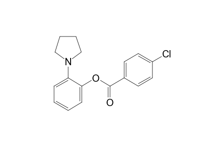 o-(1-pyrrolidinyl)phenol, p-chlorobenzoate (ester)