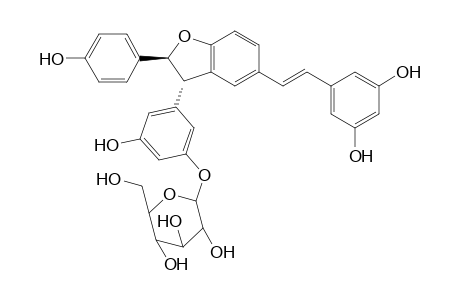 Resveratrol - (E)-dehydrodimer - 11-O-.beta.-D-glucopyranoside
