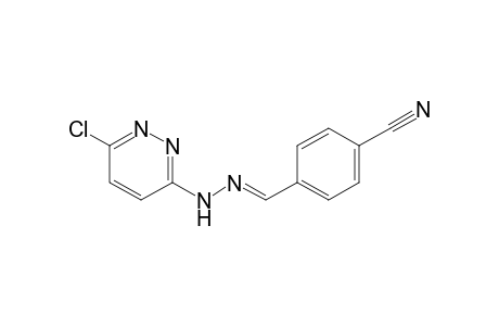 TEREPHTHALALDEHYDONITRILE, (6-CHLORO-3-PYRIDAZINYL)HYDRAZONE