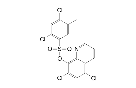 benzenesulfonic acid, 2,4-dichloro-5-methyl-, 5,7-dichloro-8-quinolinyl ester