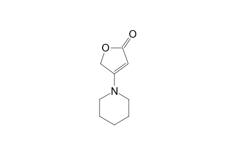 4-PIPERIDINYL-BUT-2-ENOLIDE