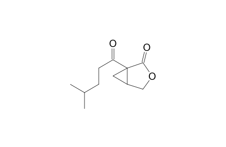 1-(4-Methyl-1-pentanoyl)-3-oxabicyclo[3.1.0]hexan-2-one