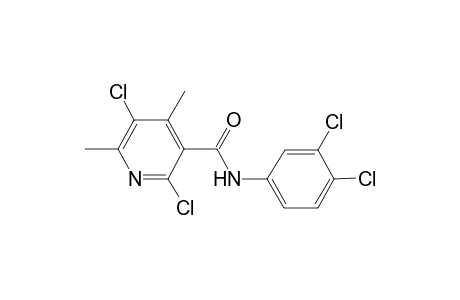 Pyridine-3-carboxamide, 2,5-dichloro-N-(3,4-dichlorophenyl)-4,6-dimethyl-