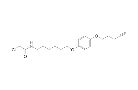 2-Chloro-N-{6-[4-(pent-4-ynyloxy)phenyloxy]hexyl}acetamide
