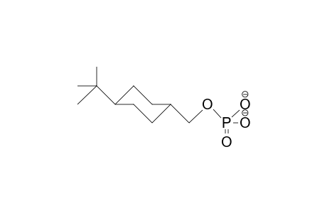 Phosphoric acid, trans-4-tert-butyl-cyclohexylmethyl ester dianion