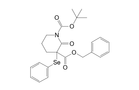 2-keto-3-(phenylseleno)piperidine-1,3-dicarboxylic acid O3-benzyl ester O1-tert-butyl ester