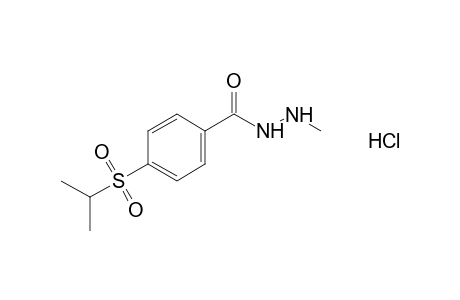 p-(isopropylsulfonyl)benzoic acid, 2-methylhydrazide, monohydrochloride