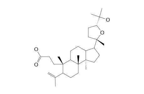 Shoreic acid