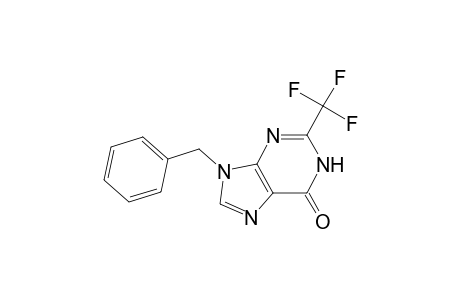 9-(Phenylmethyl)-2-(trifluoromethyl)-3H-purin-6-one