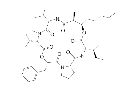 TRUNGAPEPTIN_C