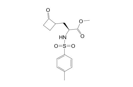 Methyl (2R*,3S*)-3-(2-oxocyclobutyl)-2-(toluene-4-sulfonylamino)propanoate