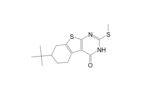 7-tert-butyl-2-(methylsulfanyl)-5,6,7,8-tetrahydro[1]benzothieno[2,3-d]pyrimidin-4(3H)-one