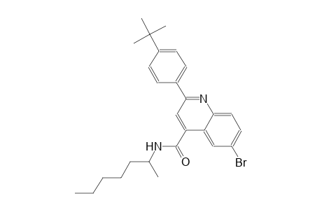 6-bromo-2-(4-tert-butylphenyl)-N-(1-methylhexyl)-4-quinolinecarboxamide