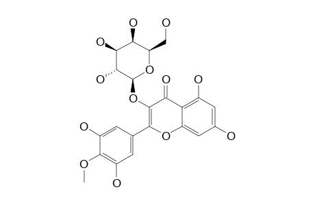 MYRICETIN-4'-METHYLETHER-3-O-BETA-D-GALACTOPYRANOSIDE