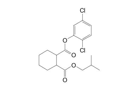 1,2-Cyclohexanedicarboxylic acid, 2,5-dichlorophenyl isobutyl ester