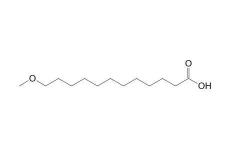 12-Methoxy-dodecanoic acid