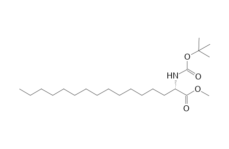 Methyl (2S)-2-tert-Butoxycarbonylaminohexadecanoate
