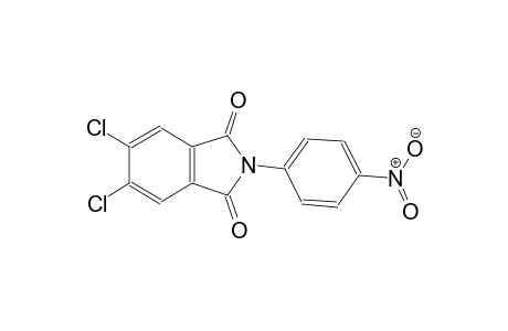 5,6-dichloro-2-(4-nitrophenyl)-1H-isoindole-1,3(2H)-dione