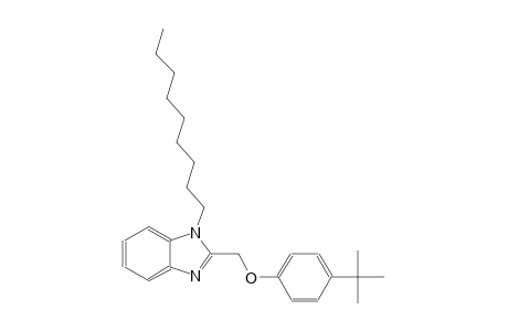 2-[(4-tert-butylphenoxy)methyl]-1-nonyl-1H-benzimidazole
