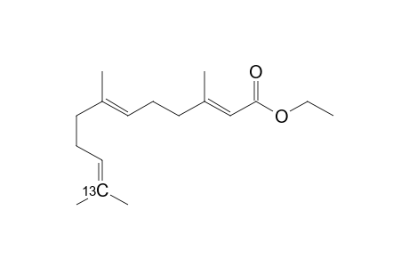 Ethyl (11-13C)-(2E,6E)-3,7,11-trimethyldodeca-2,6,10-trienoate