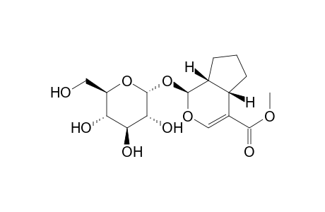 Cyclopenta[c]pyran-4-carboxylic acid, 1-(.alpha.-D-glucopyranosyloxy)-1,4a,5,6,7,7a-hexahydro-, methyl ester, [1S-(1.alpha.,4a.alpha.,7a.alpha.)]-