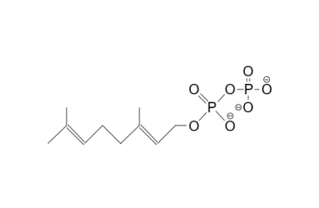 Geranyl diphosphate trianion