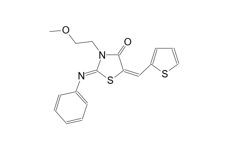 (2Z,5E)-3-(2-methoxyethyl)-2-(phenylimino)-5-(2-thienylmethylene)-1,3-thiazolidin-4-one