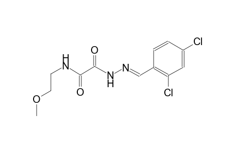 2-[(2E)-2-(2,4-dichlorobenzylidene)hydrazino]-N-(2-methoxyethyl)-2-oxoacetamide
