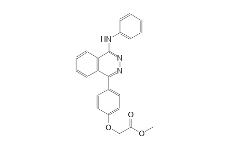 methyl [4-(4-anilino-1-phthalazinyl)phenoxy]acetate