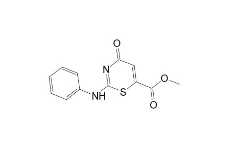 2H-1,3-Thiazine-6-carboxylic acid, 3,4-dihydro-4-oxo-2-(phenylimino)-, methyl ester