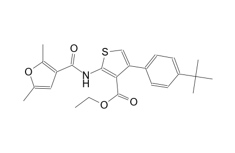 ethyl 4-(4-tert-butylphenyl)-2-[(2,5-dimethyl-3-furoyl)amino]-3-thiophenecarboxylate