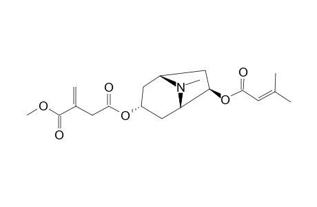 3.alpha.-(1-Methylitaconyl)-6.beta.-senecioyloxytropane