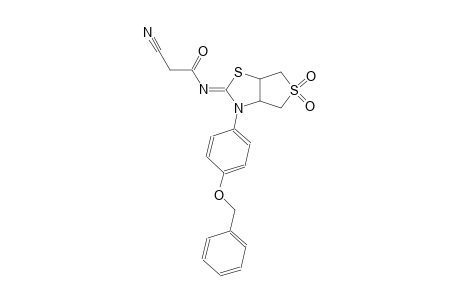 acetamide, 2-cyano-N-((2Z)-tetrahydro-5,5-dioxido-3-[4-(phenylmethoxy)phenyl]thieno[3,4-d]thiazol-2(3H)-ylidene)-