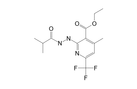 2-(N'-isobutyrylhydrazino)-4-methyl-6-(trifluoromethyl)nicotinic acid ethyl ester