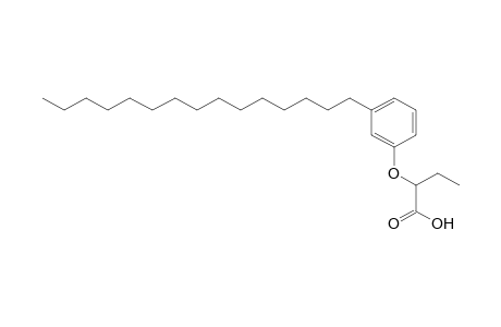 2-(m-pentadecylphenoxy)butyric acid
