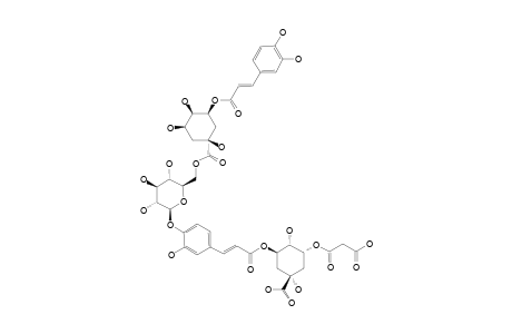 VIARUMACID_B;1-BETA,4-BETA-DIHYDROXY-3-BETA-CARBOXYACETOXY-5-ALPHA-{[3-[4-[1-BETA-(6-O-(5-(E)-CAFFEOYLQUINIC_ACID)-BETA-D-GLUCOPYRANOSYL)-OXY]-
