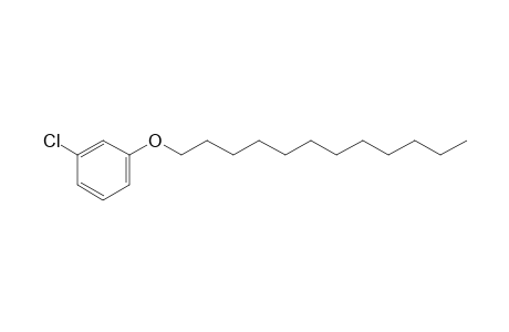 3-Chlorophenol, dodecyl ether