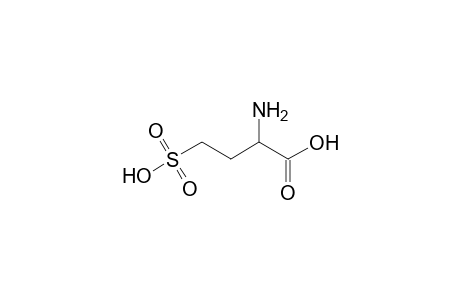 D,L-2-Amino-4-sulfobutyric acid