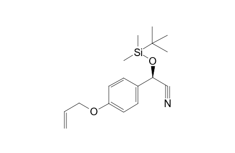 (2R)-2-(4-allyloxyphenyl)-2-[tert-butyl(dimethyl)silyl]oxy-acetonitrile
