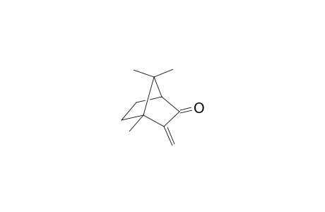 (1R,4S)-1,7,7-trimethyl-2-methylidenebicyclo[2.2.1]heptan-3-one