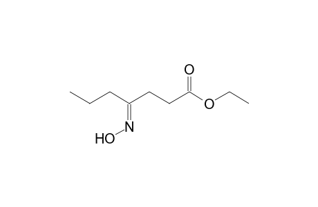 Ethyl 4-(hydroxyimino)heptanoate