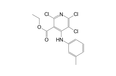 2,5,6-Trichloro-4-m-tolylamino-nicotinic acid ethyl ester