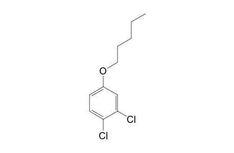 3,4-Dichlorophenol, N-pentyl ether