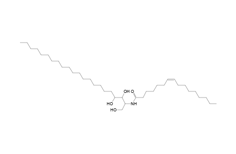 Cer 22:0;3O/16:1