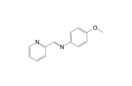 N-(4-Methoxyphenyl)-1-(pyridin-2-yl)methanimine