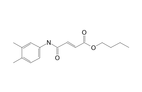 Fumaric acid, monoamide, N-(3,4-dimethylphenyl)-, butyl ester