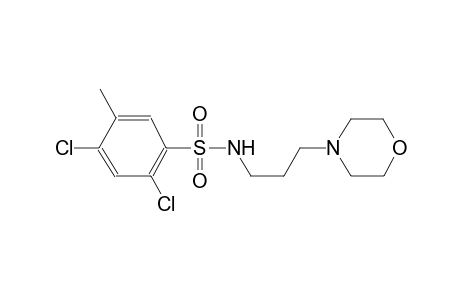 2,4-dichloro-5-methyl-N-[3-(4-morpholinyl)propyl]benzenesulfonamide